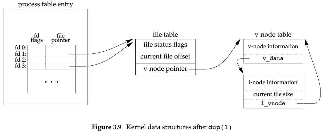 Kernel data structure after dup()